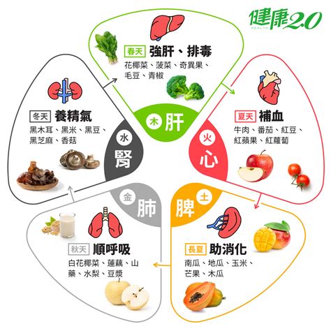 五行水果|巧用食物的五行養生